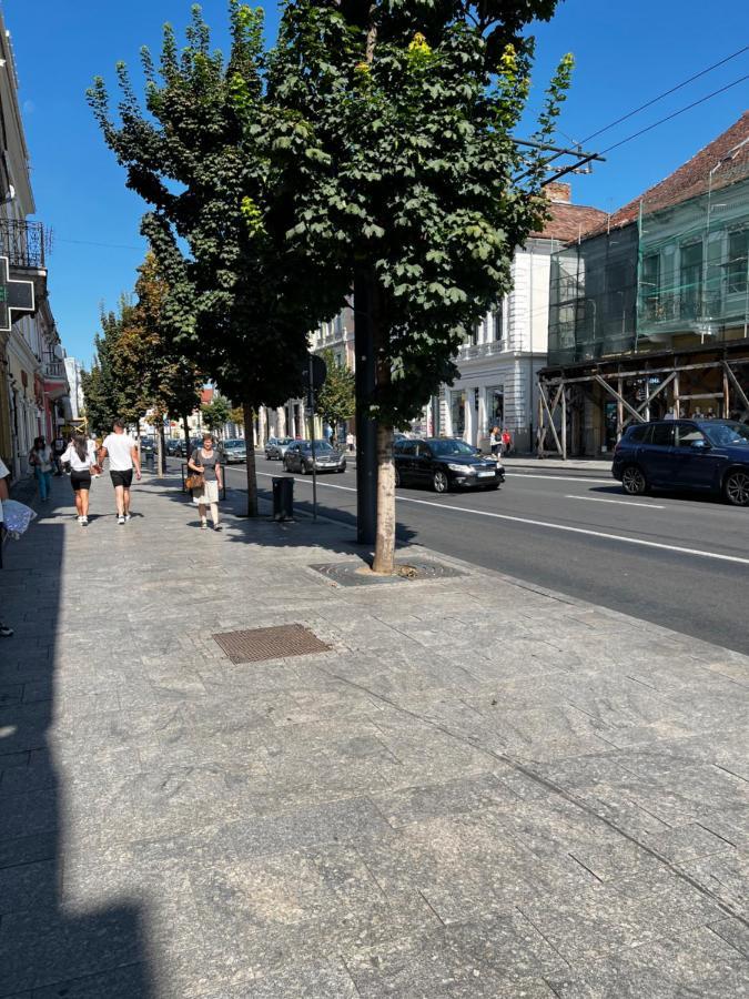 Ndl Downtown Cluj 아파트 호텔 외부 사진